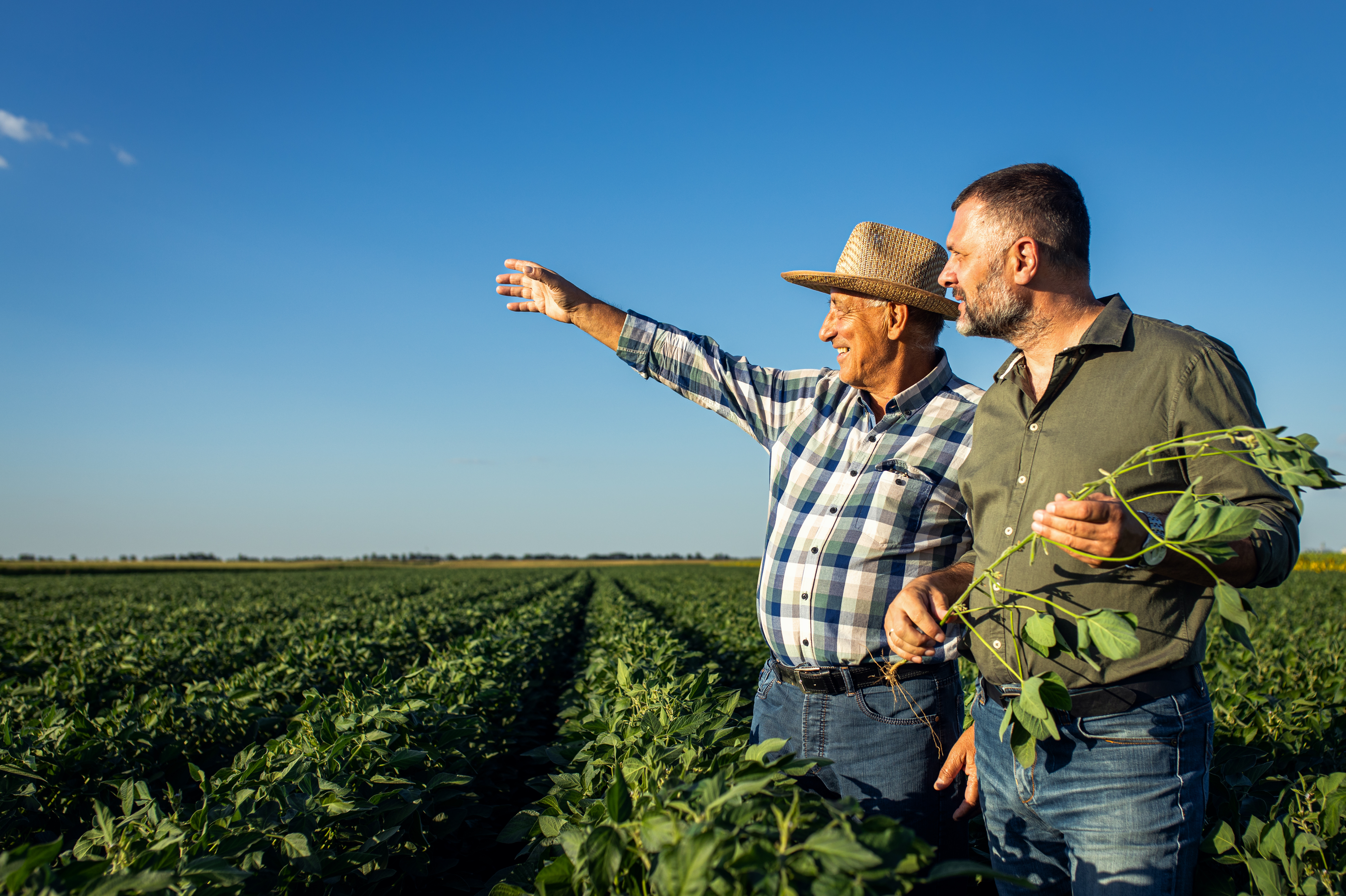 European Commission's Competitiveness Compass: A New Opportunity for Farmers 1