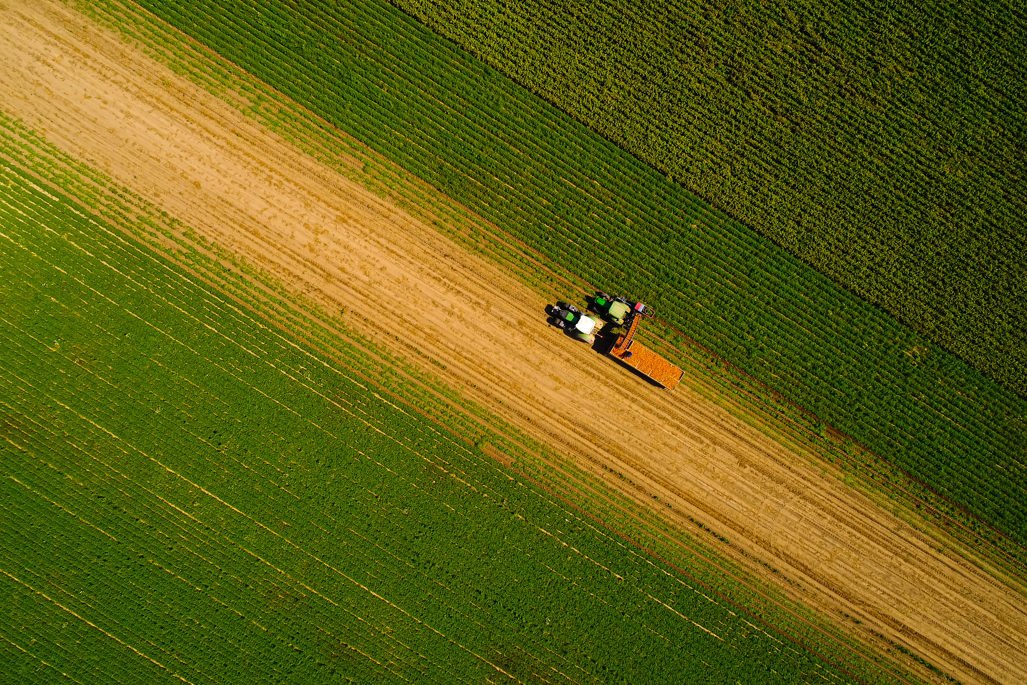 European Commission's Competitiveness Compass: A New Opportunity for Farmers 2