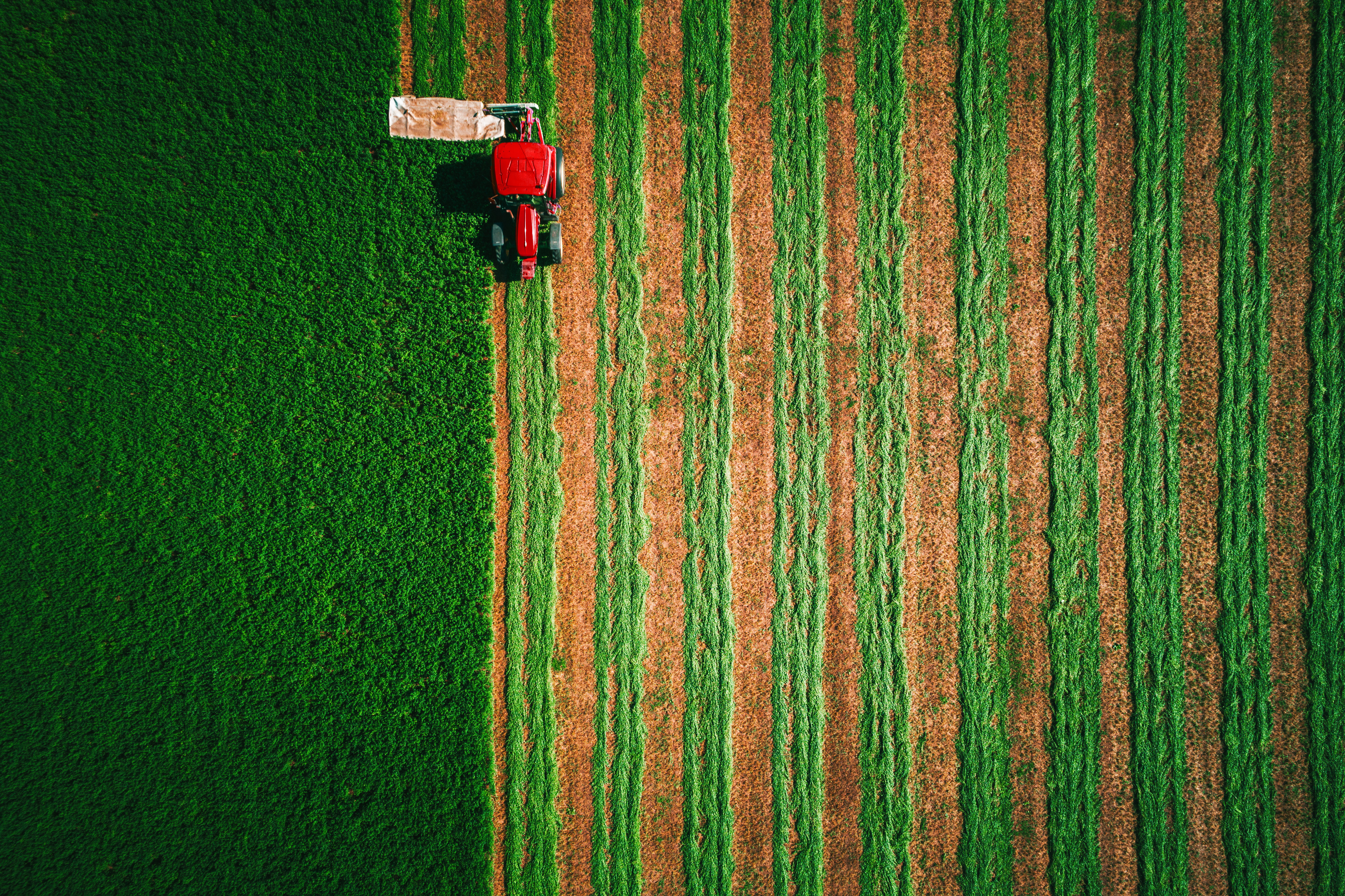 Biogas in Italy and Europe 2025-2035: how it is evolving 1